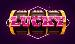 256bet